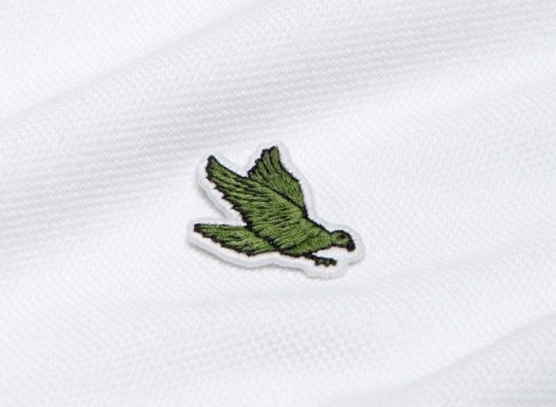 Lacoste'un timsah logosu değişiyor 9