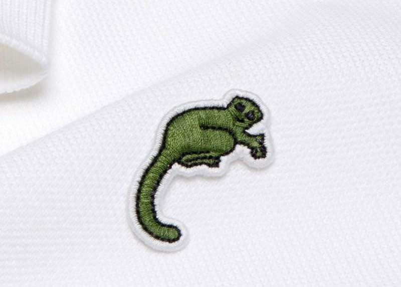 Lacoste'un timsah logosu değişiyor 5