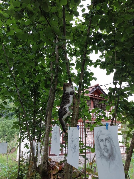 Fındık bahçesinde 'Pandemi Günleri Sergisi' 1