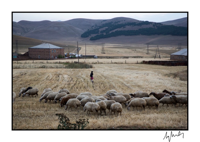 Nar Photos'tan yılbaşı özel edisyonu 1