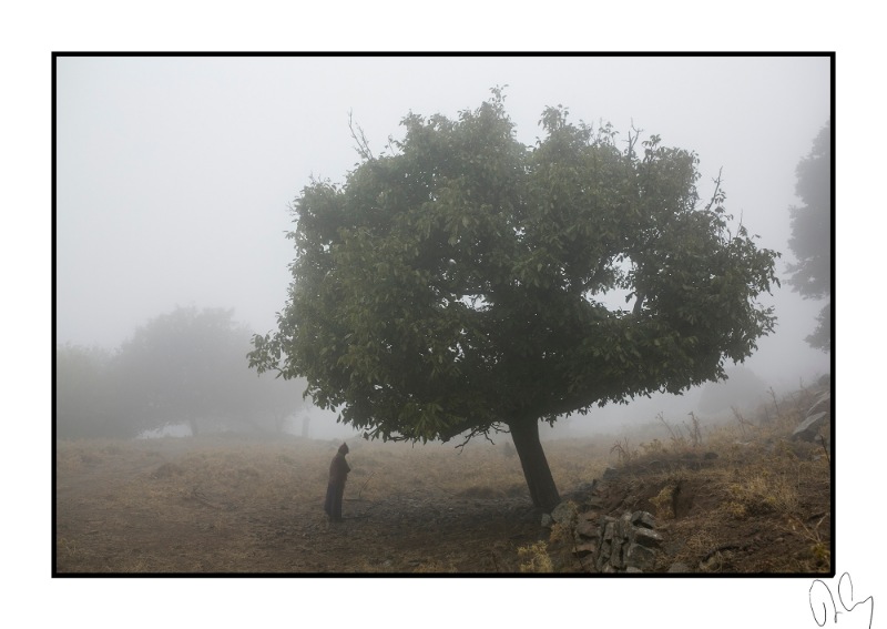 Nar Photos'tan yılbaşı özel edisyonu 15