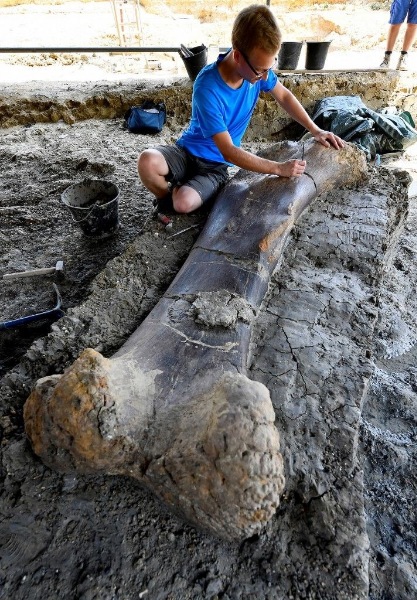 500 kilo ağırlığında dinozor kemiği bulundu 6