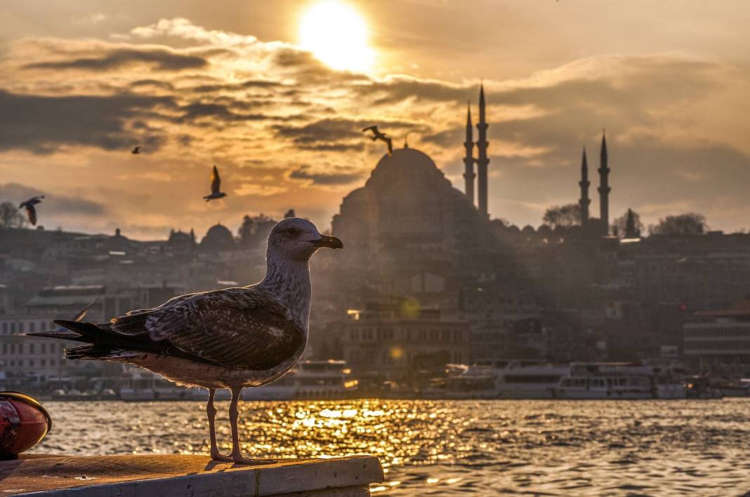 İstanbul'daki yedi yeni vapur hattı ve saatleri belli oldu 2