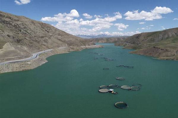 İki milyon metreküp suyu kalan Zernek Baraj Gölü'nde balık ölümleri 5