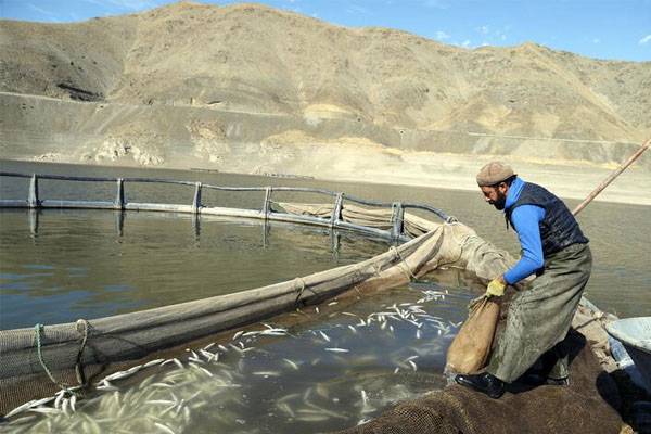 İki milyon metreküp suyu kalan Zernek Baraj Gölü'nde balık ölümleri 2