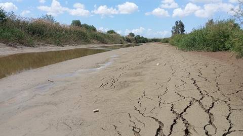 Büyük Menderes'te kuraklık sinyali: Su kıtlığı kapıda 1