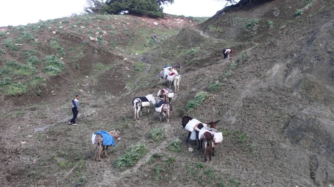 Serin yaylalara göç: Siirtli koçerlerin Herekol eteklerine doğru 'kolektif' yolculuğu 8