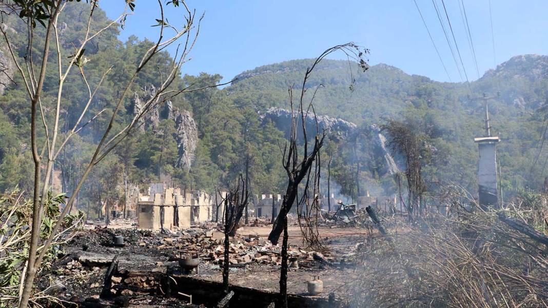 Olympos'taki 'Kadir'in Ağaç Evleri’ndeki yangın sonunda kullanılabilir yer kalmadı: 'Yeniden yapacağım' 6