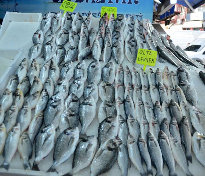 Su ürünlerinde kültür balıkçılığının oranı yüzde 55'e ulaştı 5