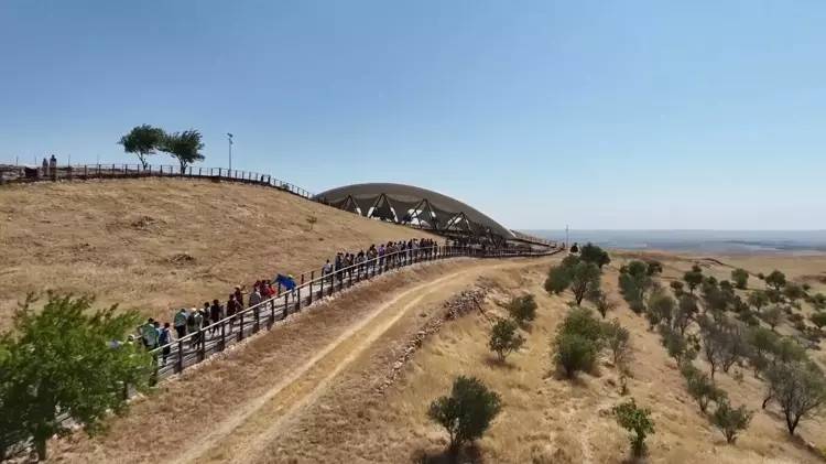 Göbeklitepe'de ağaç dikme iddiasına kazı başkanından yalanlama geldi 2