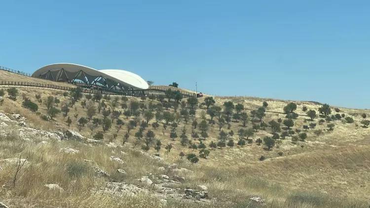 Göbeklitepe'de ağaç dikme iddiasına kazı başkanından yalanlama geldi 5