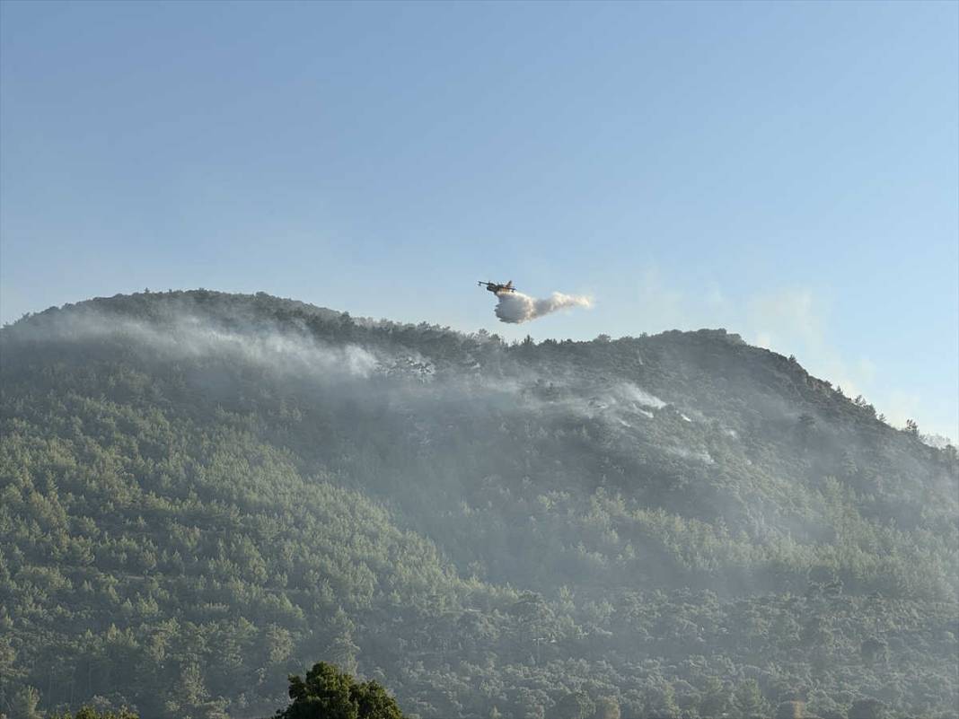 Bodrum'daki orman yangını 18 saatte kontrol altına alındı, yanan alan havadan görüntülendi 4