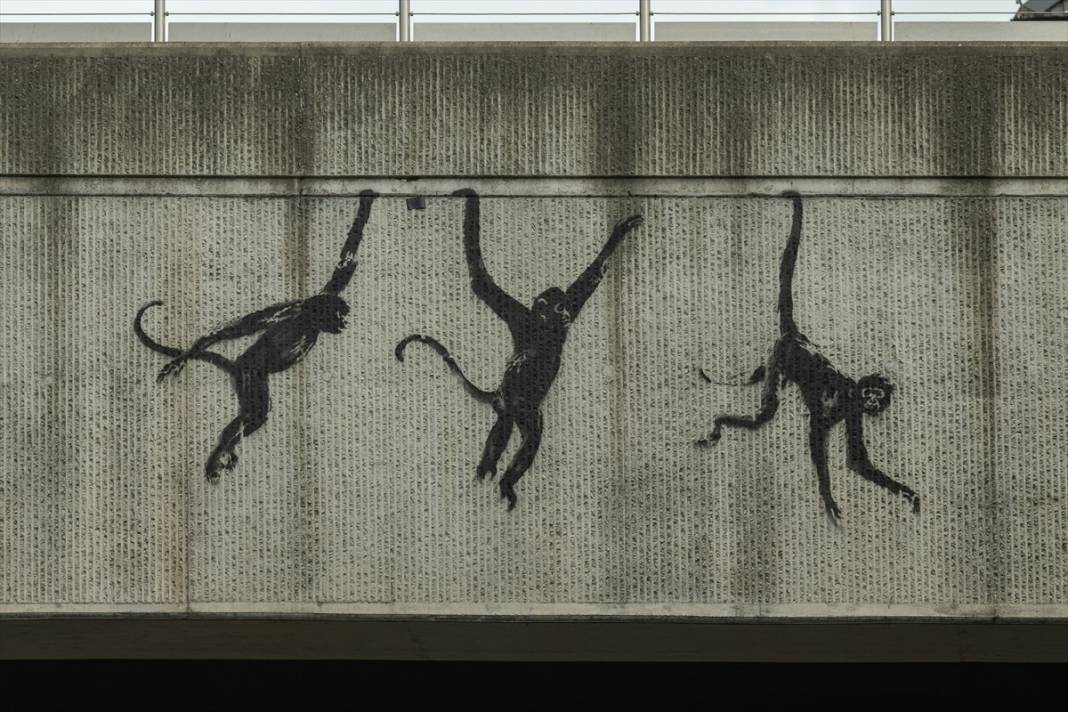 Keçi, fil, şimdi de 'üç maymun': Banksy'nin hayvan serisi ne anlama geliyor? 5