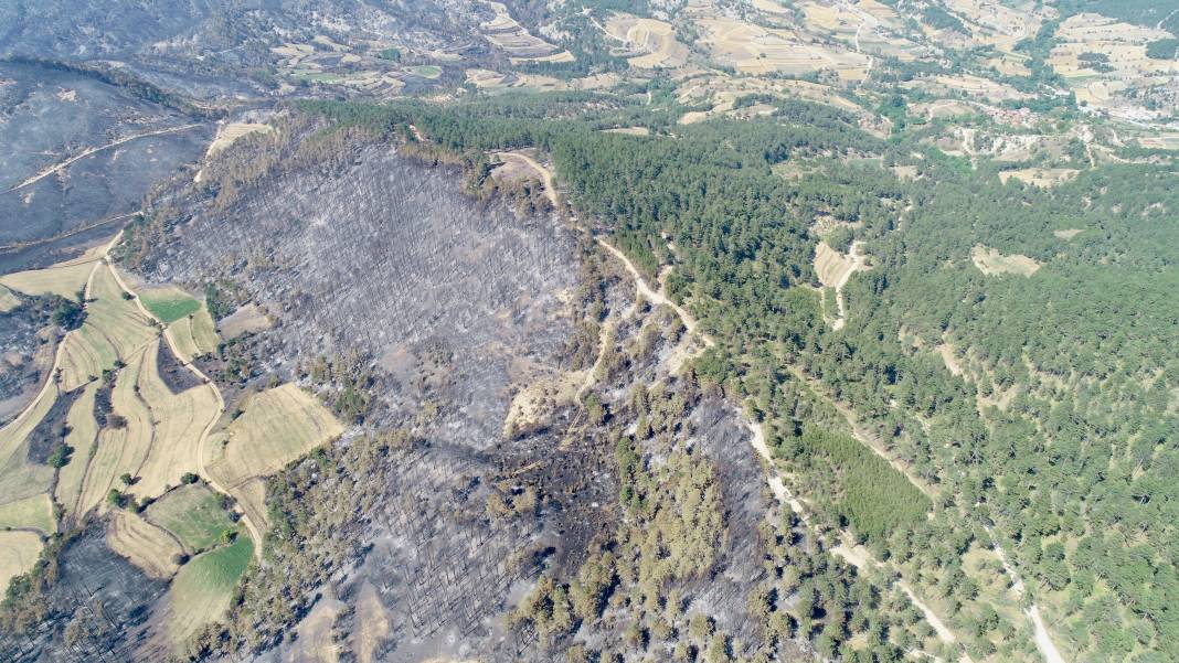 Bolu'da orman yangınında zarar gören alanlar havadan görüntülendi 12