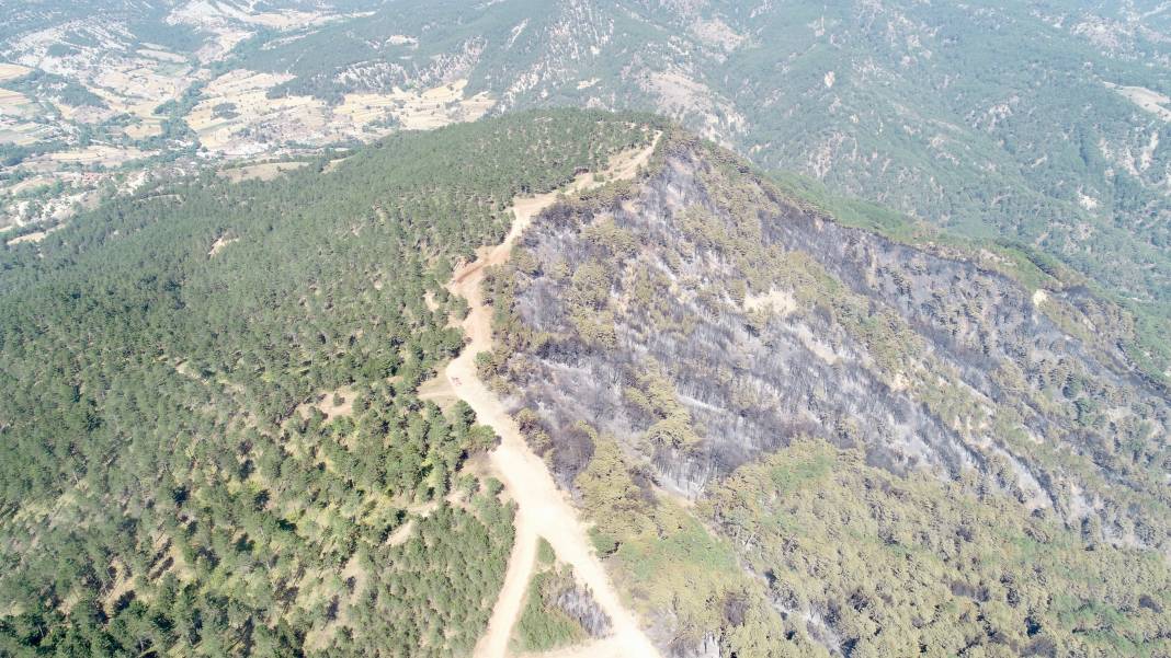 Bolu'da orman yangınında zarar gören alanlar havadan görüntülendi 8