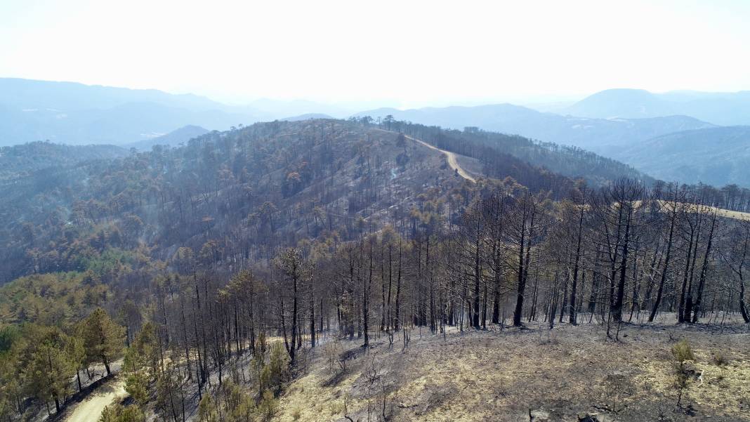 Bolu'da orman yangınında zarar gören alanlar havadan görüntülendi 5