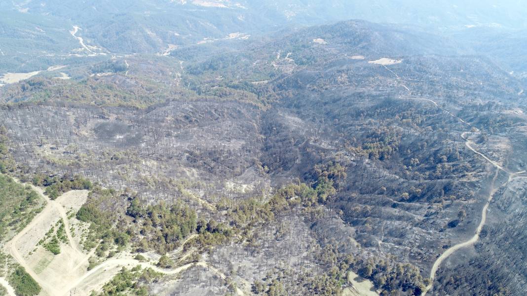 Bolu'da orman yangınında zarar gören alanlar havadan görüntülendi 3