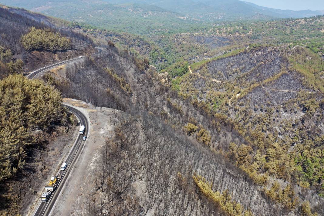 Ege'de yeşil alanlar yerini griye bıraktı: Yanan ormanlar havadan görüntülendi 12