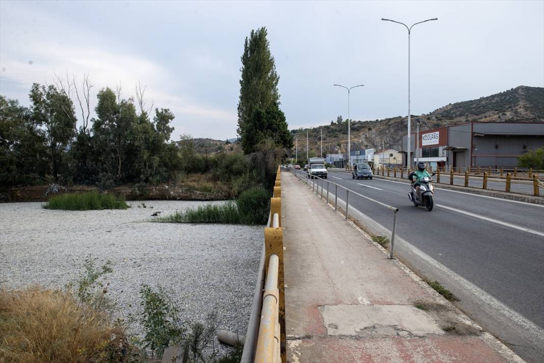 Yunanistan'ın Volos kentinde tonlarca ölü balık nedeniyle olağanüstü hal ilan edildi 8