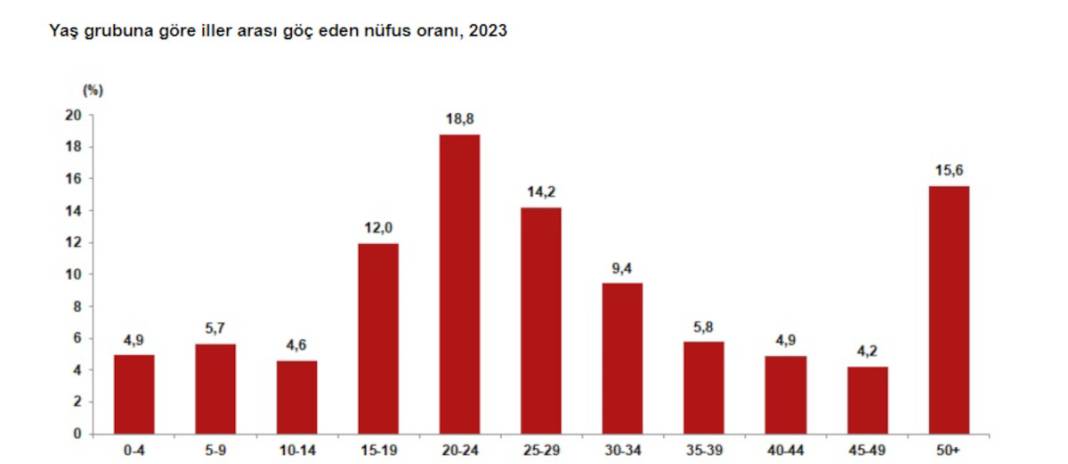 TÜİK açıkladı: Türkiye'de en çok göç alan ve göç veren iller 4