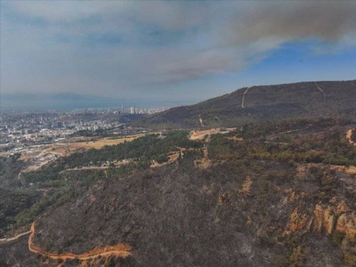 İzmir'de 4 bin 400 hektar küle döndü: 'Bölge sel felaketine karşı savunmasız kaldı' 1