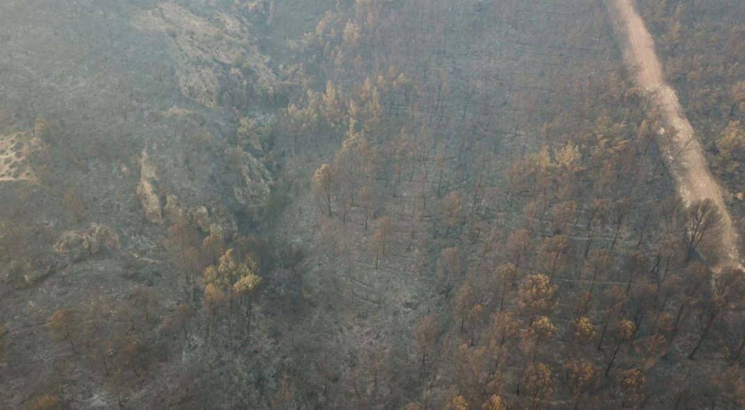 İzmir'deki orman yangınında fotoğraflarla son durum: 16 ev yandı, 3 mahalle boşaltıldı, yüzlerce kişi tahliye edildi 8