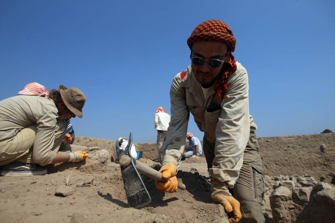 Aydın'daki Tepecik Höyüğü'nde 3 bin 500 yıllık midye kabukları bulundu 2