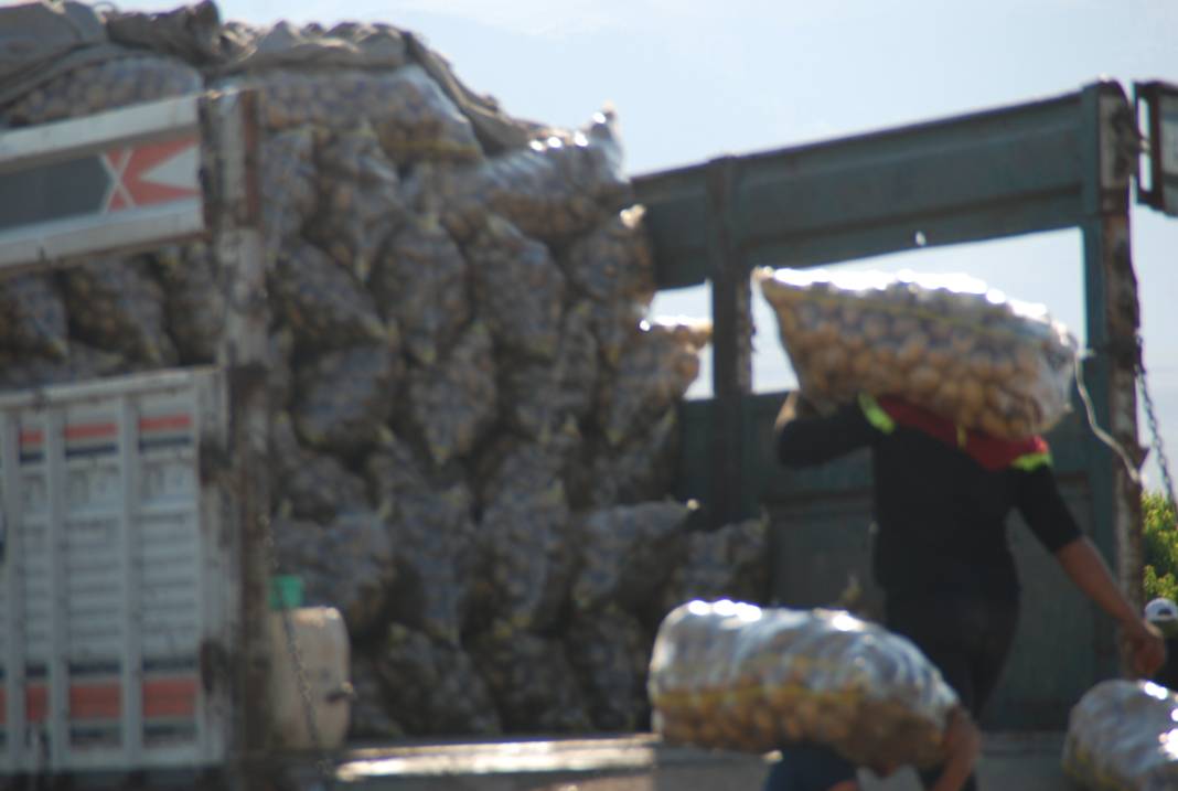 Yazlık ve kışlık patates aynı dönemde hasat edilince fiyat 4 liraya düştü 5