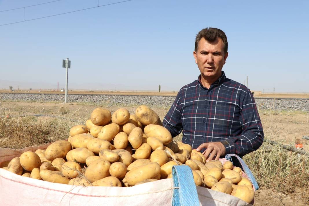 Yazlık ve kışlık patates aynı dönemde hasat edilince fiyat 4 liraya düştü 7