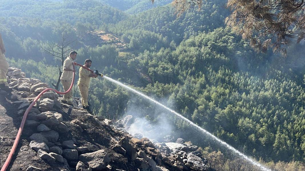 Muğla'daki orman yangınında tahrip olan yerler görüntülendi 10