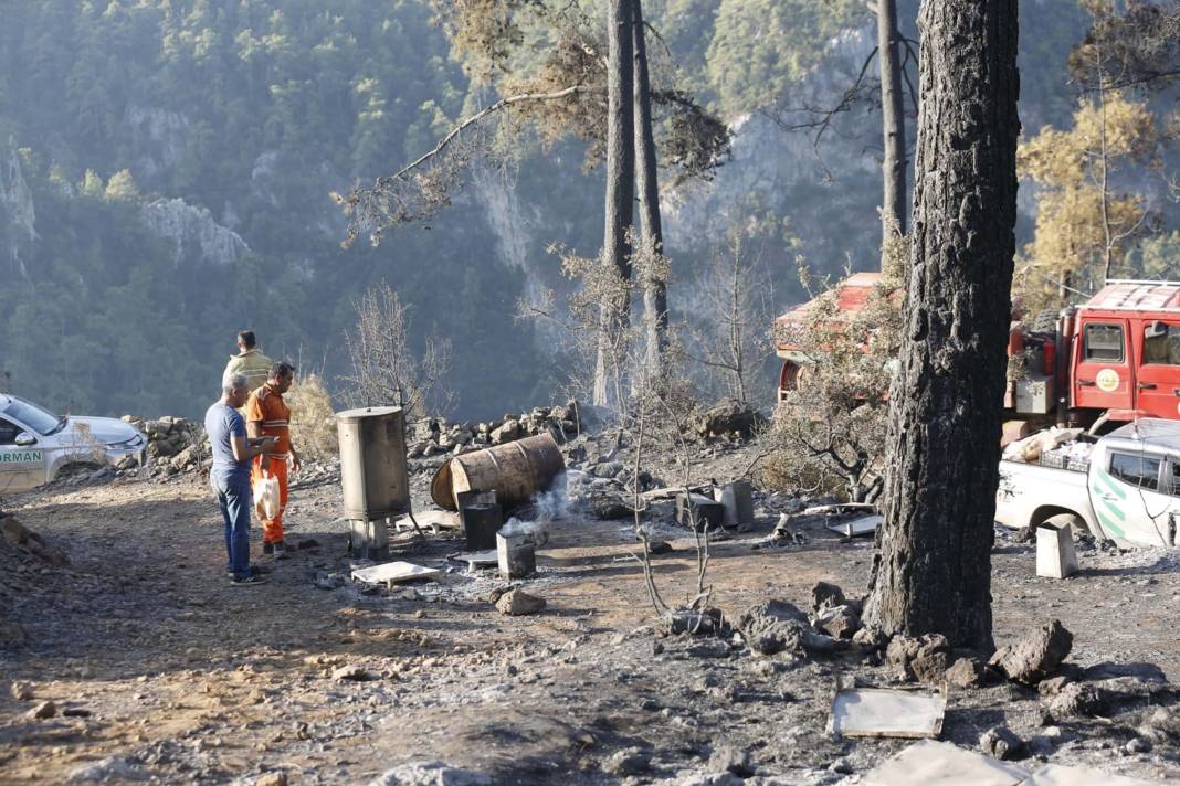 Muğla'daki orman yangınında tahrip olan yerler görüntülendi 4