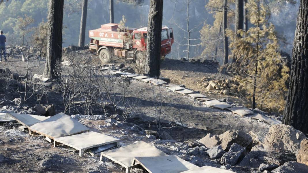 Muğla'daki orman yangınında tahrip olan yerler görüntülendi 8