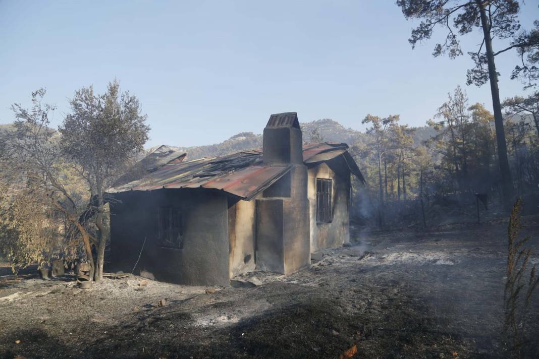 Muğla'daki orman yangınında tahrip olan yerler görüntülendi 7