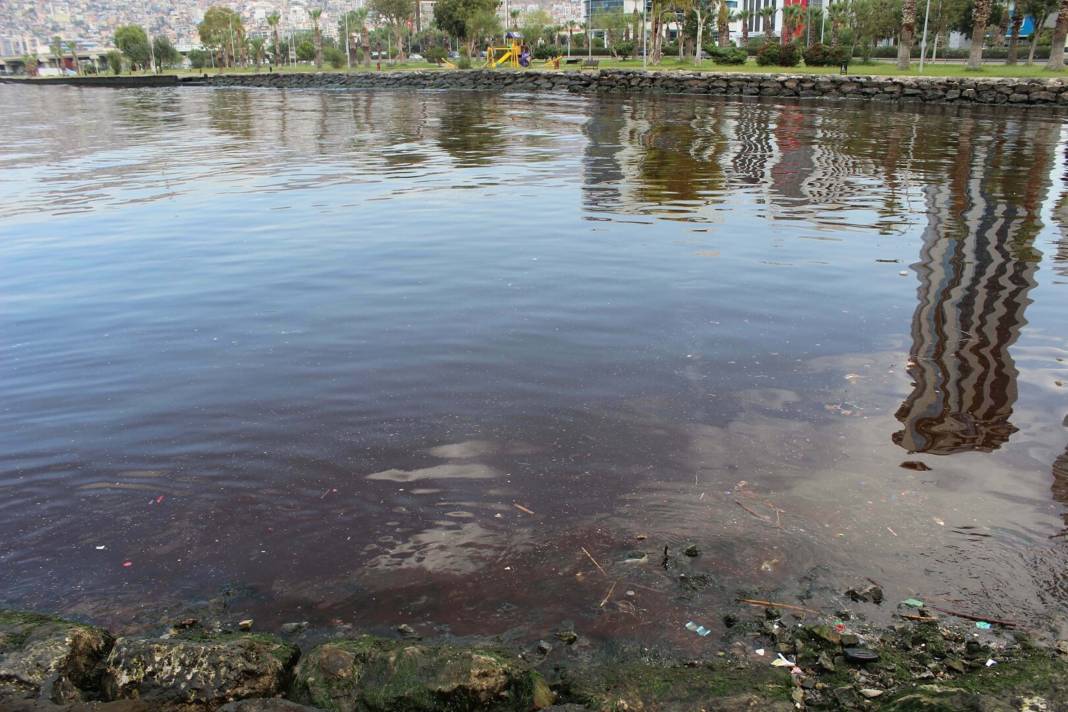 İzmir Körfezi kırmızı renge büründü: 'Havalar soğuyunca kaybolacak' 6