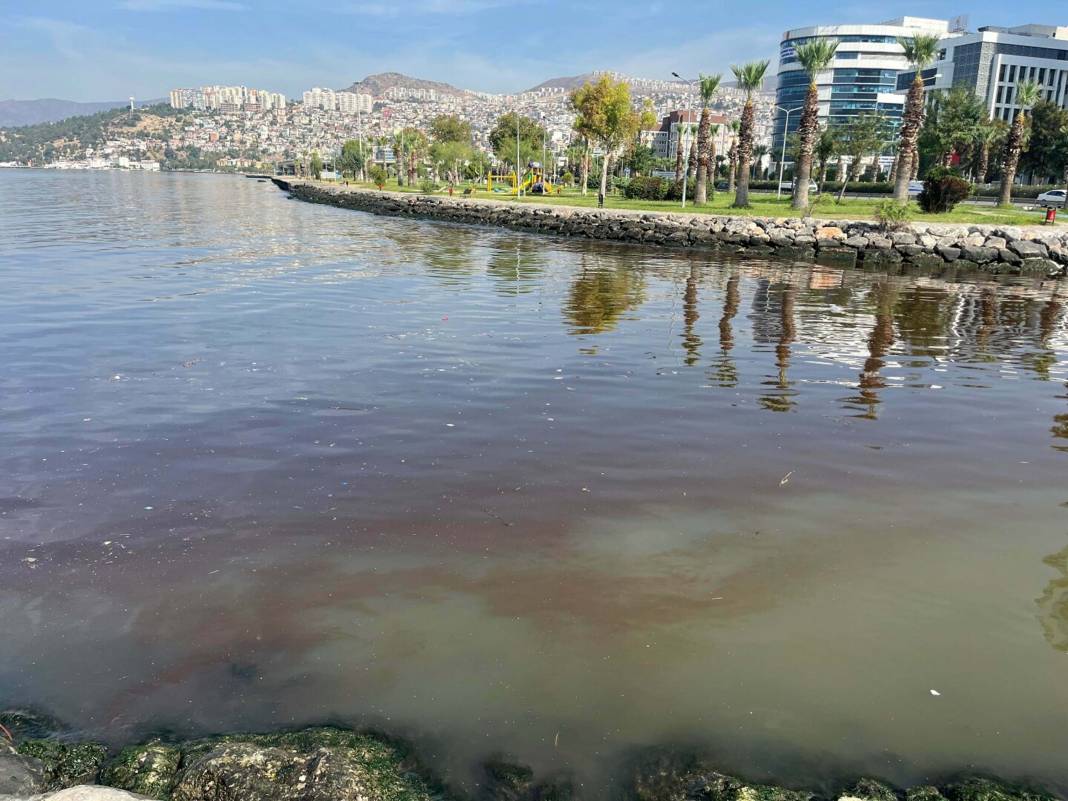 İzmir Körfezi kırmızı renge büründü: 'Havalar soğuyunca kaybolacak' 7