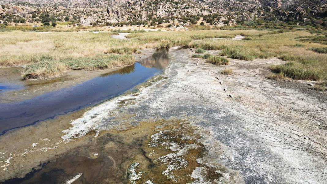 Ege Bölgesi'nin en büyük doğal gölü Bafa kuruyor: Sular 30 metre çekildi 4