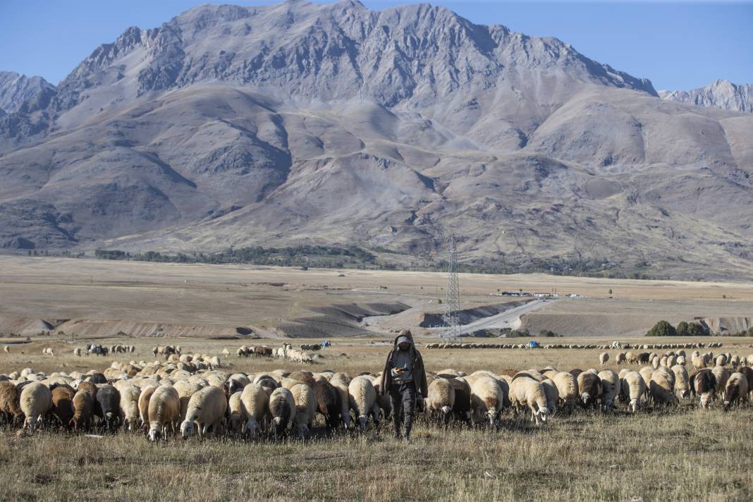 Dersim'de yayla sezonu bitti, koçerlerin zorlu dönüş yolculuğu başladı 2