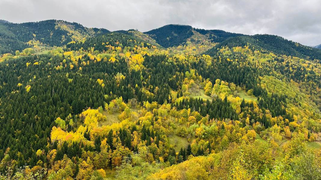 Artvin'de iki mevsim bir arada 4