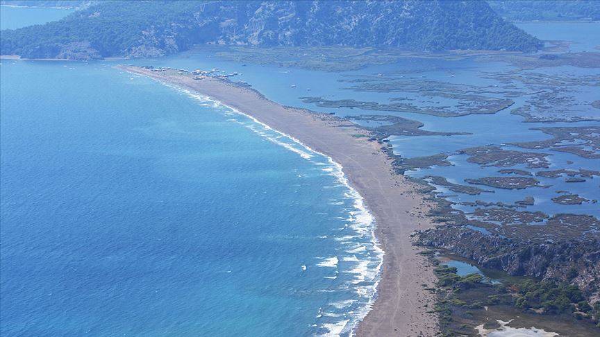 Akdeniz'de rekor sıcaklık: Caretta caretta yavrularının yüzde 90'ı dişi çıktı 1