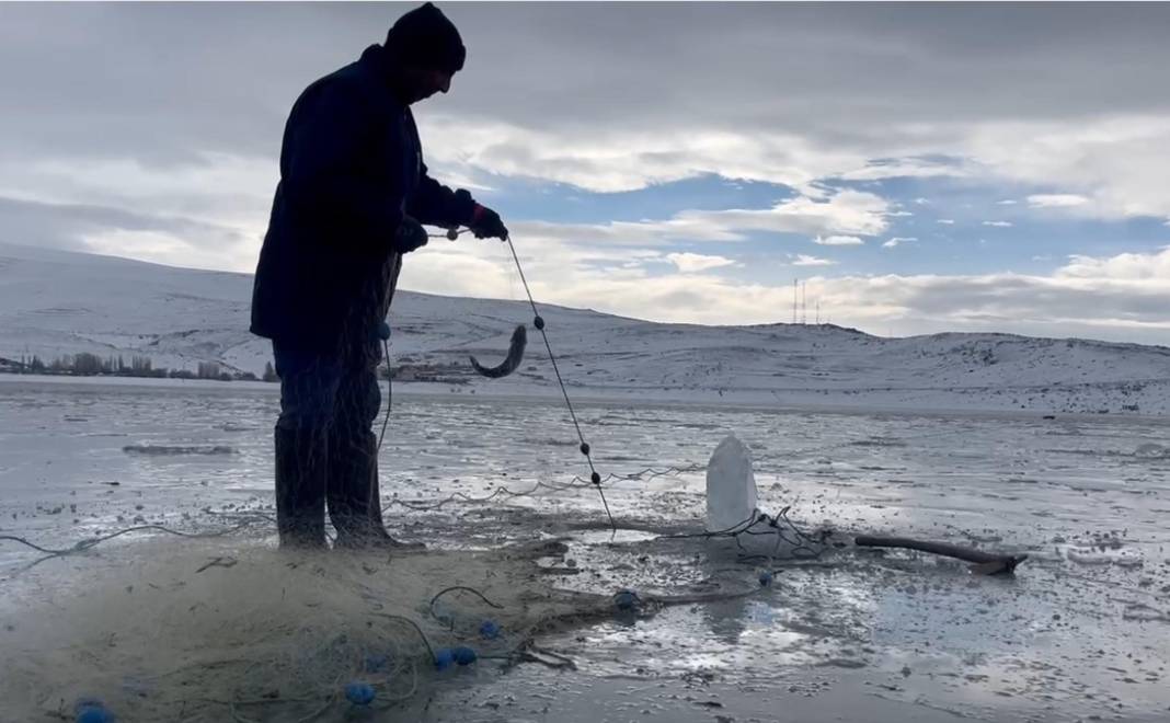 Çıldır Gölü'nde eskimo usulü atılan ağlar çekildi 6