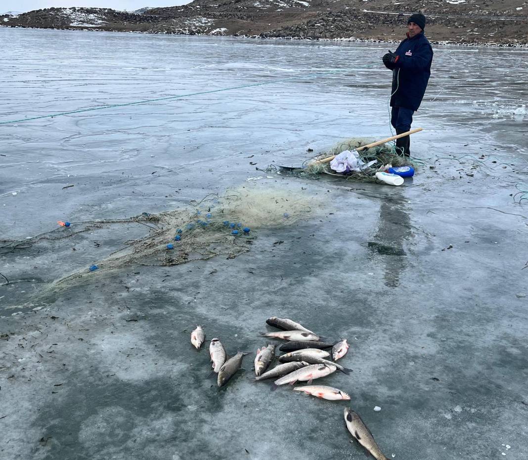 Çıldır Gölü'nde eskimo usulü atılan ağlar çekildi 2