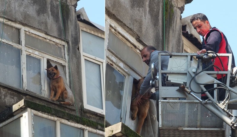 Sahibi tutuklu olan köpeği itfaiye kurtardı