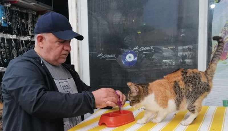 Sokak kedileri için dükkanını kapatmıyor: İnsanlık görevi