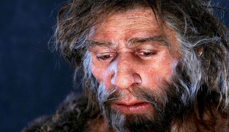 Neandertaller de düzenli olarak deniz ürünleri tüketiyormuş