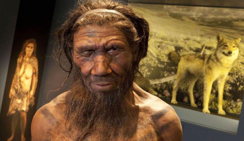 Erken yatıp erken kalkanların sırrı çözüldü: Neandertal geni