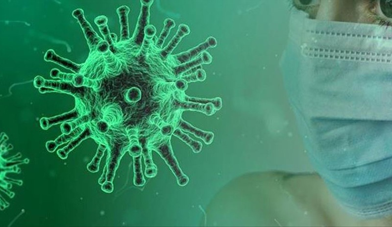 Koronavirüs: Brezilya kendi rekorunu kırdı