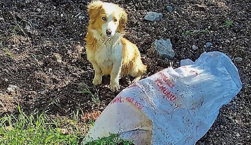 Çuvala koyup ölüme terk ettiler