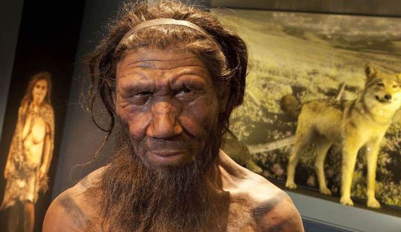 Covid-19 ile ilişkili DNA, Neandertallerden bize geçmiş