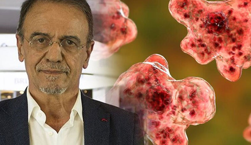 Prof. Dr. Mehmet Ceyhan: 'Beyin yiyen amip' Türkiye’de de var