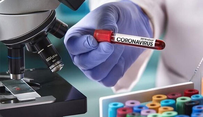 Coronavirus: Koku kaybının sebebi tespit edildi